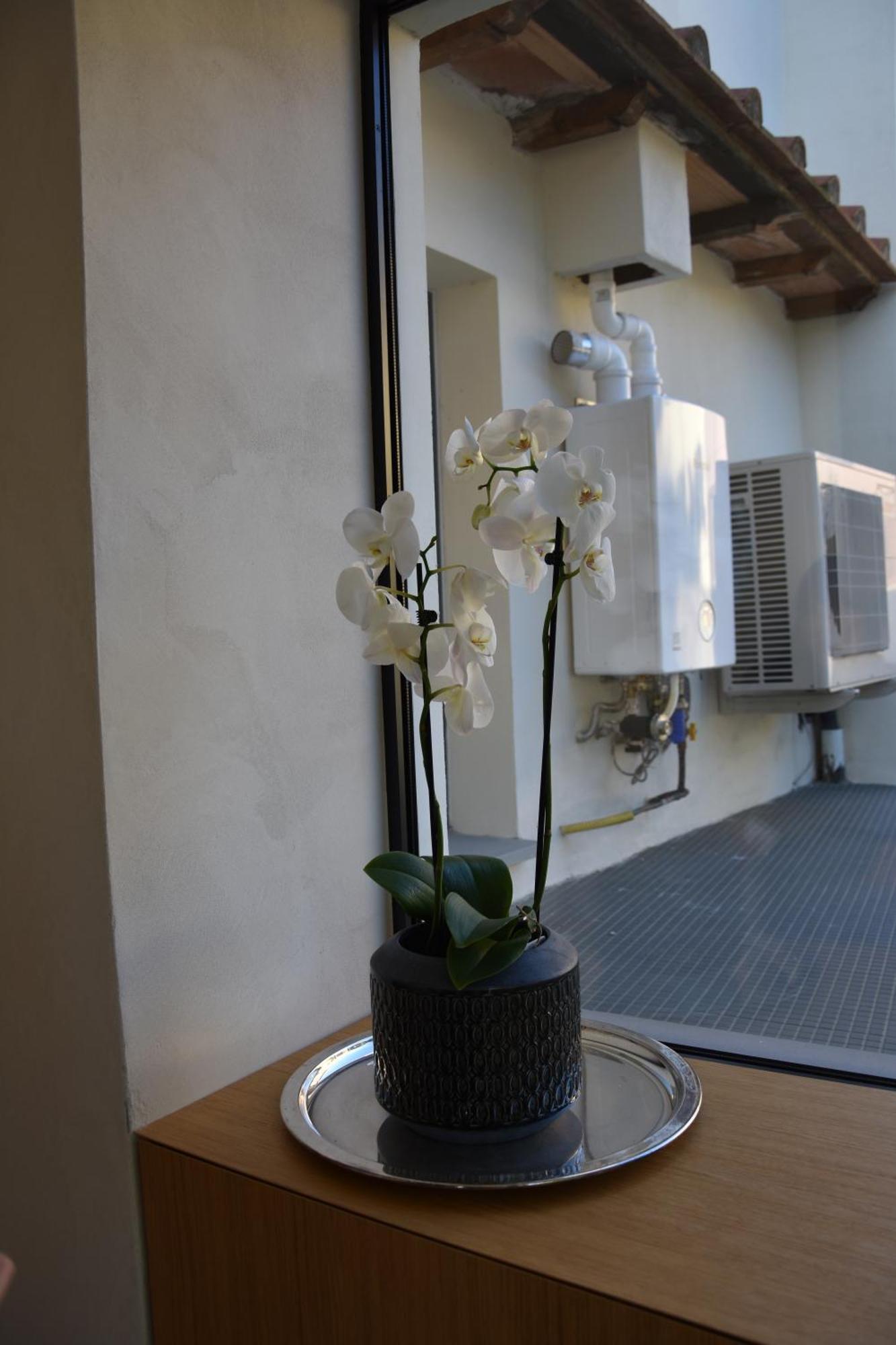 Il Giardino Di Dinda Apartamento Arezzo Exterior foto